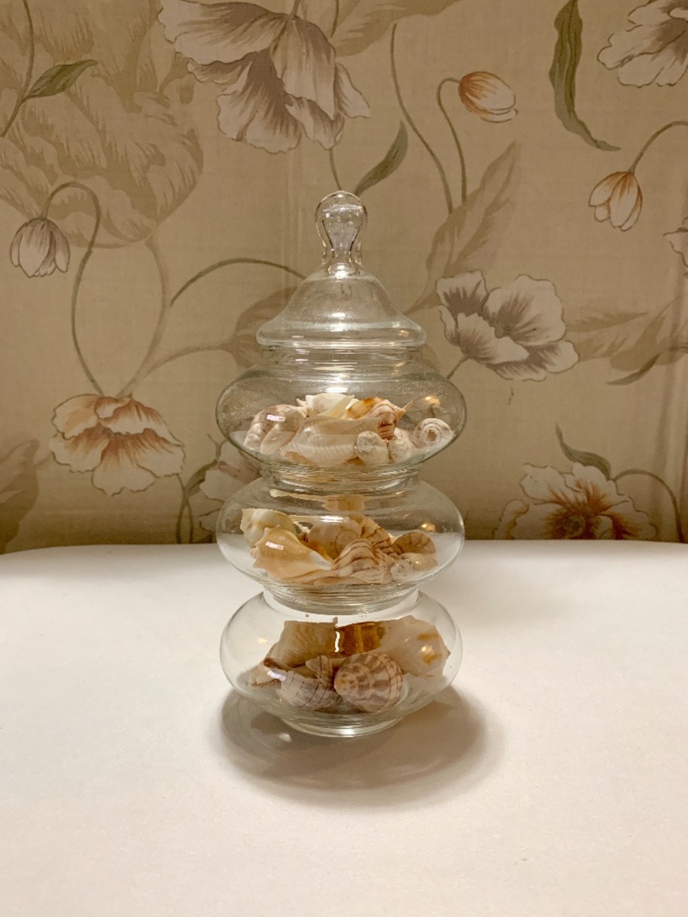 Set Three (3) Clear Stackable Glass Jars Containers & Lid w Seashells 9.75” Tall